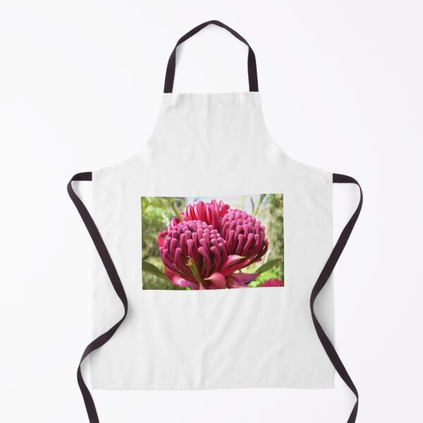 Item preview, Waratah Flower, Telopea. NSW, Australia designed and sold by Cobargo South Coast.