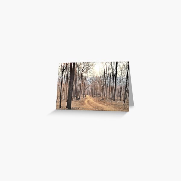 Item preview, 2019-2020 Bushfires, Bega Valley, NSW, Australia designed and sold by CobargoInfo.
