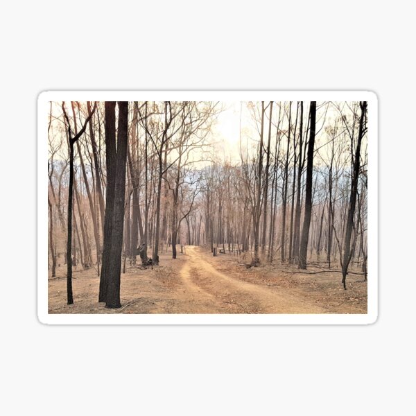 Item preview, 2019-2020 Bushfires, Bega Valley, NSW, Australia designed and sold by CobargoInfo.