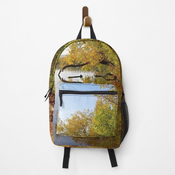 Item preview, Autumn looks in the mirror designed and sold by Babbler01.