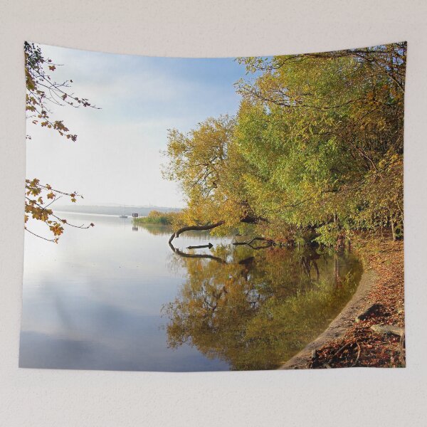 Item preview, Autumn looks in the mirror designed and sold by Babbler01.