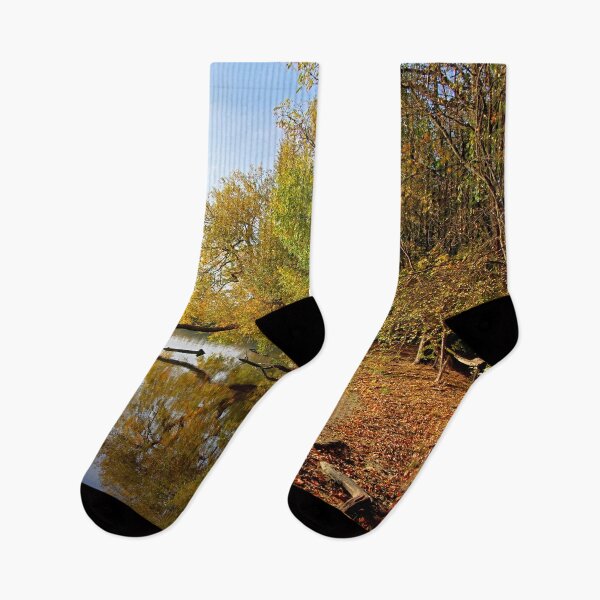 Item preview, Autumn looks in the mirror designed and sold by Babbler01.