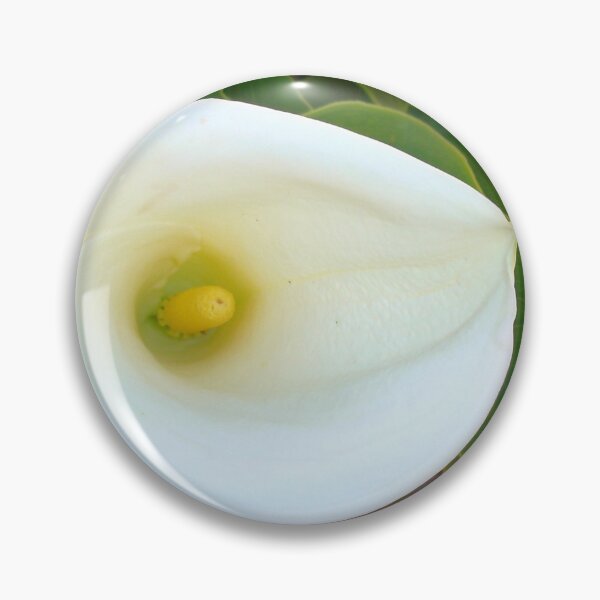Item preview, Overhead Shot Of Calla Lily Trumpet-shaped Bract designed and sold by taiche.