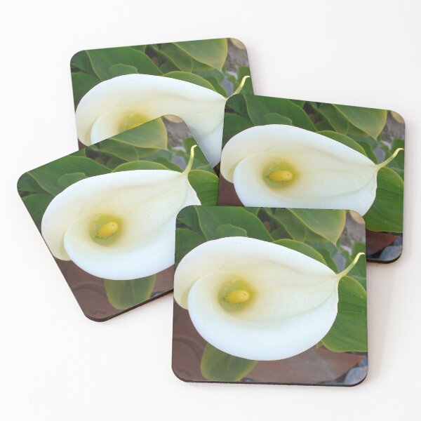 Item preview, Overhead Shot Of Calla Lily Trumpet-shaped Bract designed and sold by taiche.