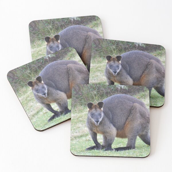 Item preview, Wallaby. Bega Valley, NSW, Australia designed and sold by Cobargo South Coast.