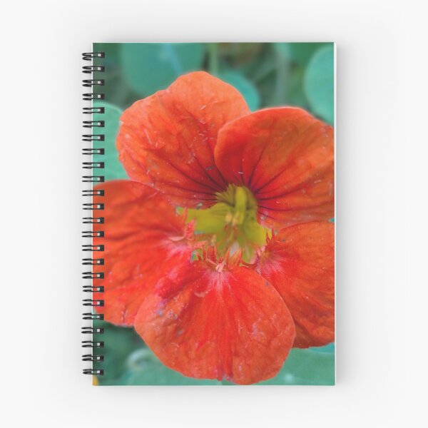 Item preview, Red Flower of the Nasturtium designed and sold by Reado71.