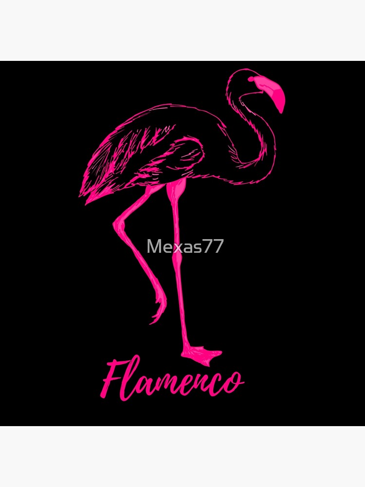 flamenco-means-fire-the-word-flamingo-comes-from-the-spanish-and-latin-word-for-fire-poster