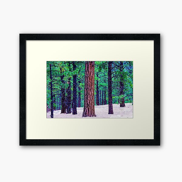 Winter Framed Art Print