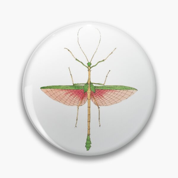 Item preview, Vintage illustrations of insects:  Bug me - Number 3 designed and sold by CoolVintageArt.
