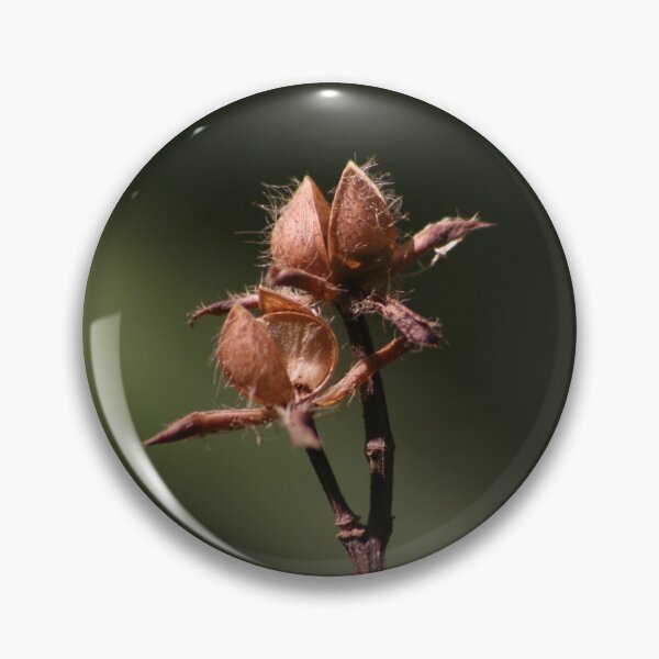 Item preview, Dry Flower - 1 designed and sold by raksin.