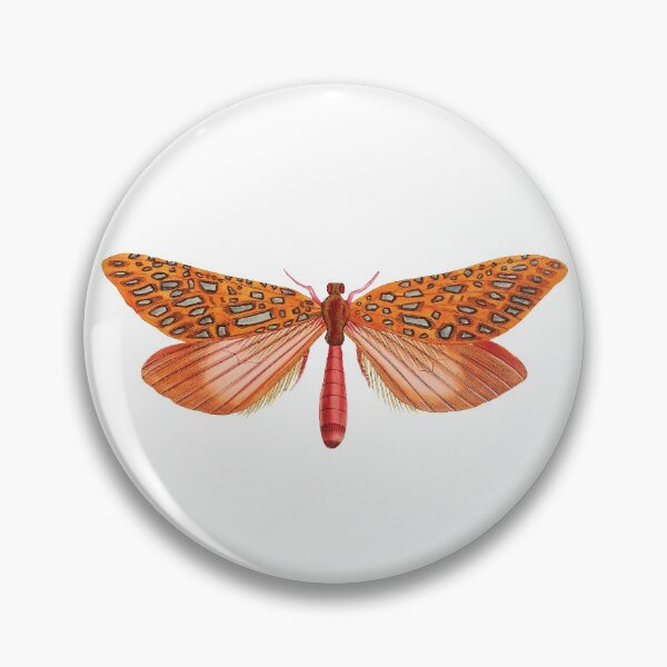 Item preview, Vintage illustrations of insects:  Bug me - Number 4 designed and sold by CoolVintageArt.