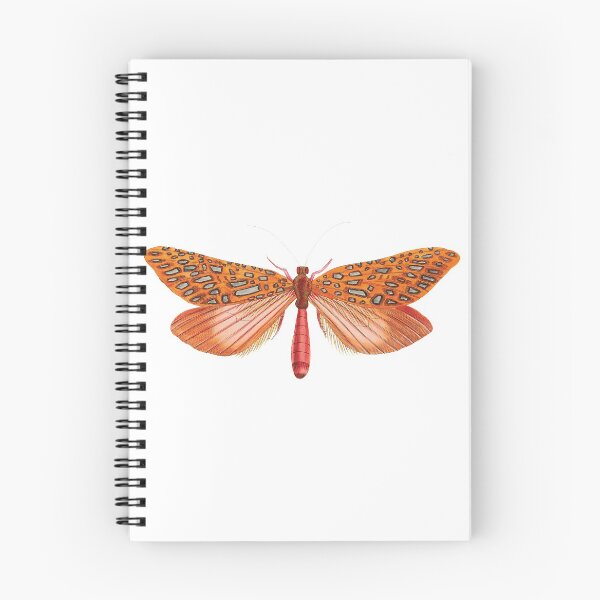 Item preview, Vintage illustrations of insects:  Bug me - Number 4 designed and sold by CoolVintageArt.