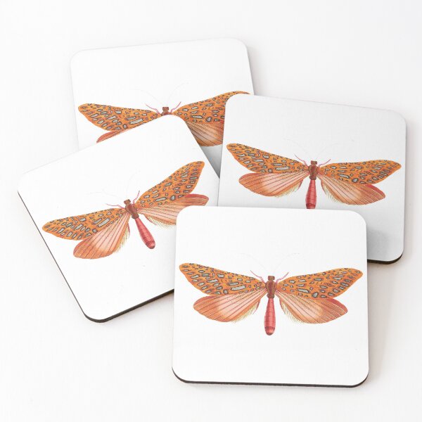 Item preview, Vintage illustrations of insects:  Bug me - Number 4 designed and sold by CoolVintageArt.