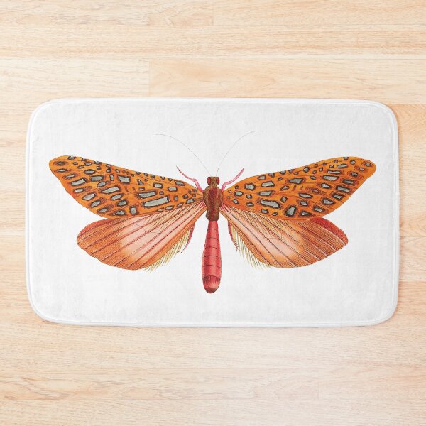 Item preview, Vintage illustrations of insects:  Bug me - Number 4 designed and sold by CoolVintageArt.