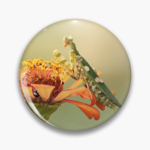 Item preview, Green Praying Mantis on Flower designed and sold by raksin.
