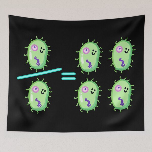 Item preview, Divide and Conquer - Bacteria Division designed and sold by BundaBear.