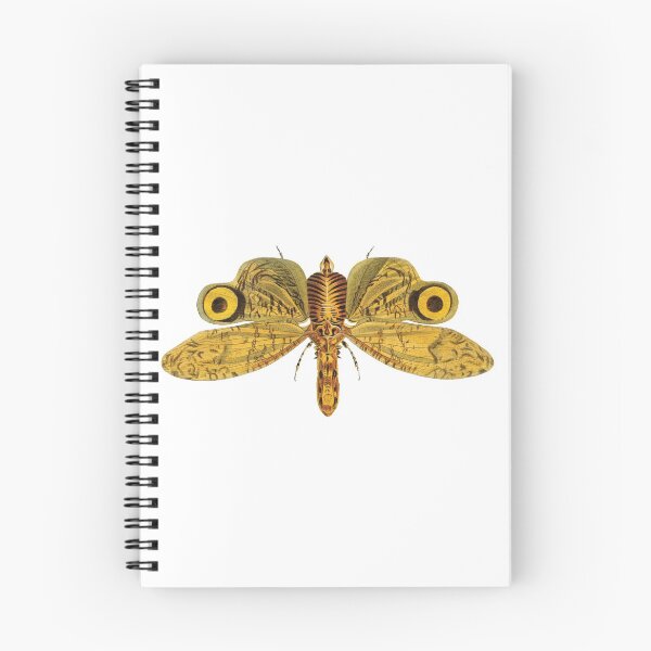 Item preview, Vintage illustrations of insects:  Bug me - Number 5 designed and sold by CoolVintageArt.