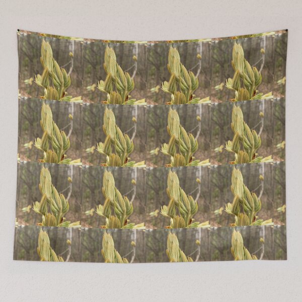Item preview, Pignut Hickory Terminal Bud designed and sold by Max Kindly.