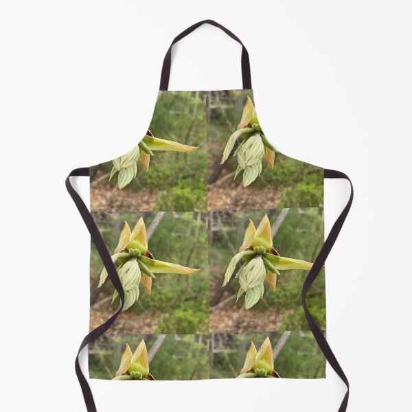 Item preview, Pignut Hickory Terminal Bud Opening designed and sold by Max Kindly.