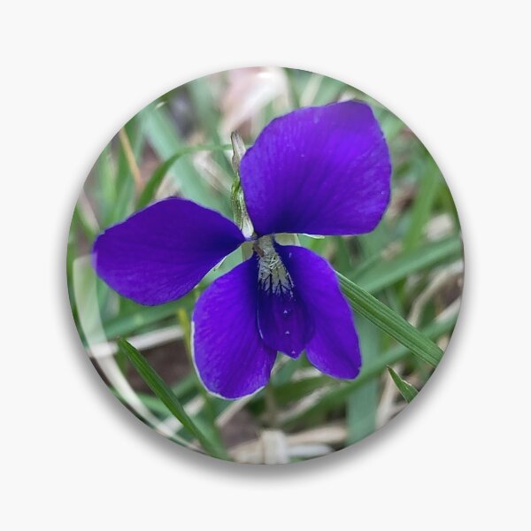 Item preview, Wild Pansy Violet Flower designed and sold by Max Kindly.