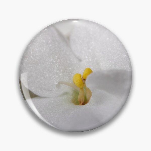 Item preview, Saintpaulia white 3 designed and sold by Jouko Lehto Photography.