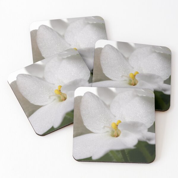 Item preview, Saintpaulia white 3 designed and sold by Jouko Lehto Photography.