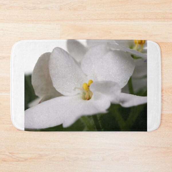 Item preview, Saintpaulia white 3 designed and sold by Jouko Lehto Photography.
