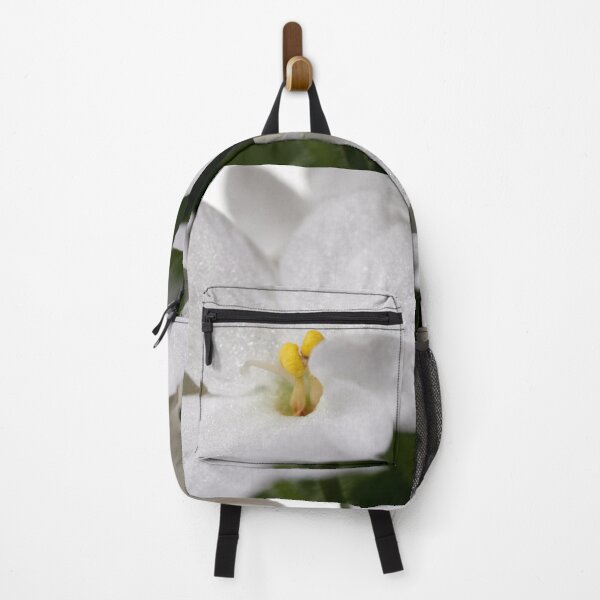 Item preview, Saintpaulia white 3 designed and sold by Jouko Lehto Photography.