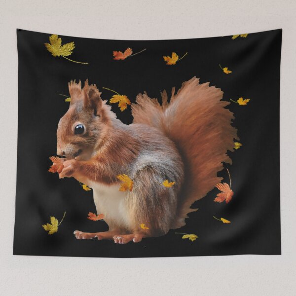 Item preview, Squirrel designed and sold by Sebak1979.