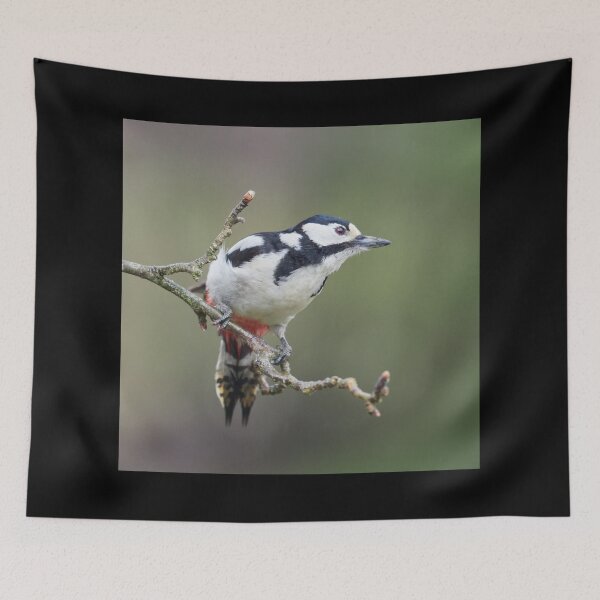 Item preview, Sky in the eyes. Great spotted woodpecker designed and sold by Jouko Lehto Photography.