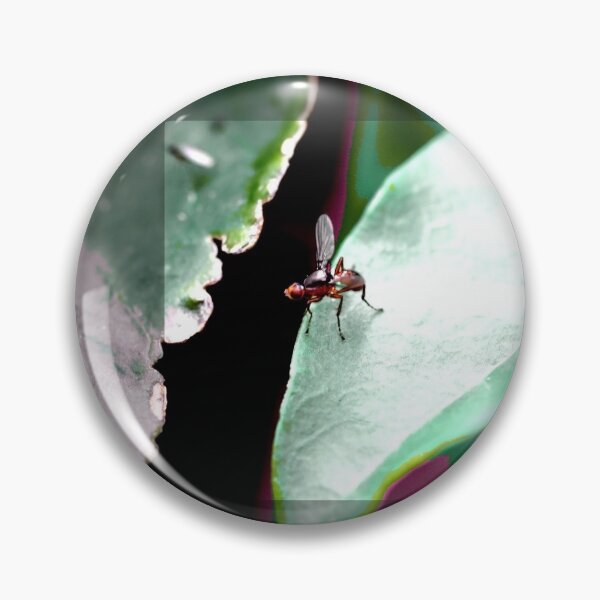 Item preview, Photo effect  designed and sold by Jodie Cooper.