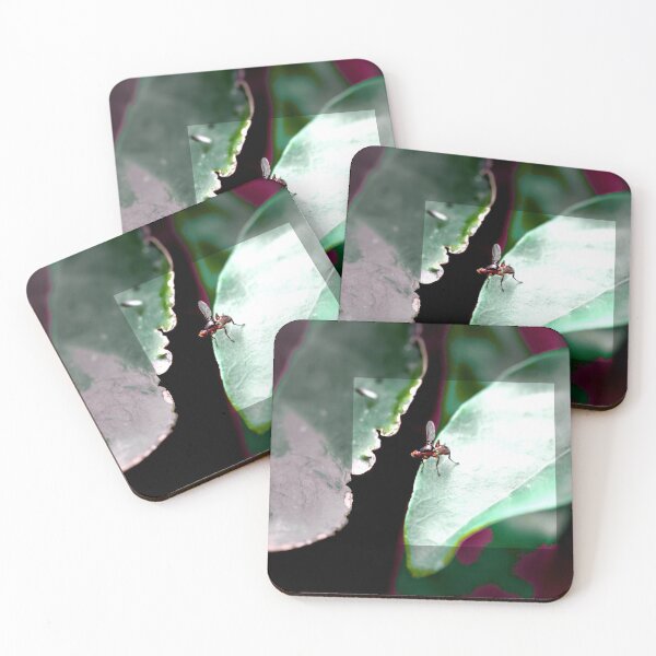 Item preview, Photo effect  designed and sold by Jodie Cooper.