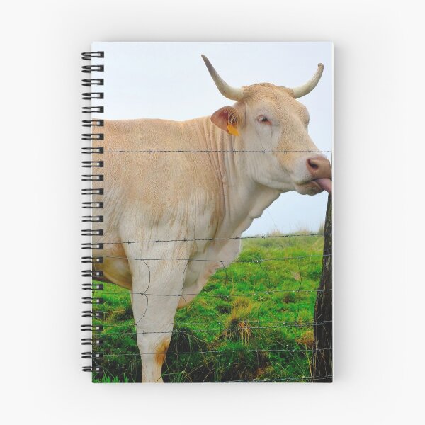 Item preview, Gascon Cow designed and sold by troianifabrizio.