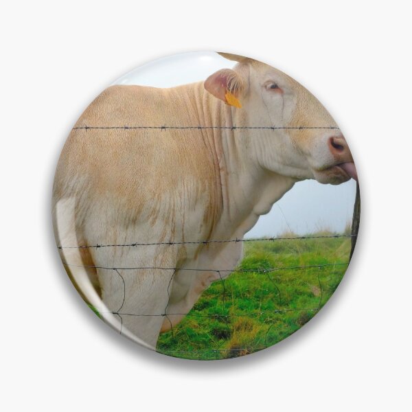Item preview, Gascon Cow designed and sold by troianifabrizio.