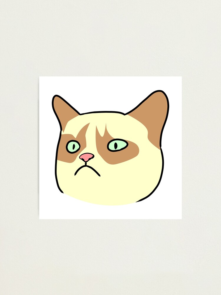 angry cat face meme | Photographic Print