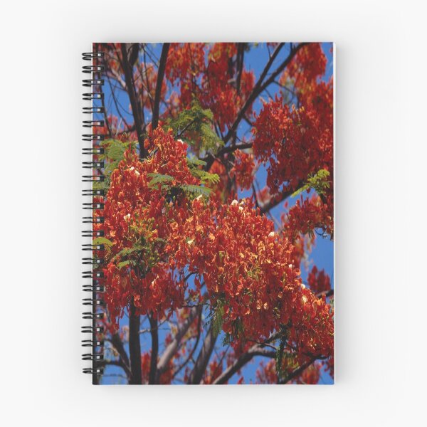 Item preview, Red Canopy designed and sold by DayColors.