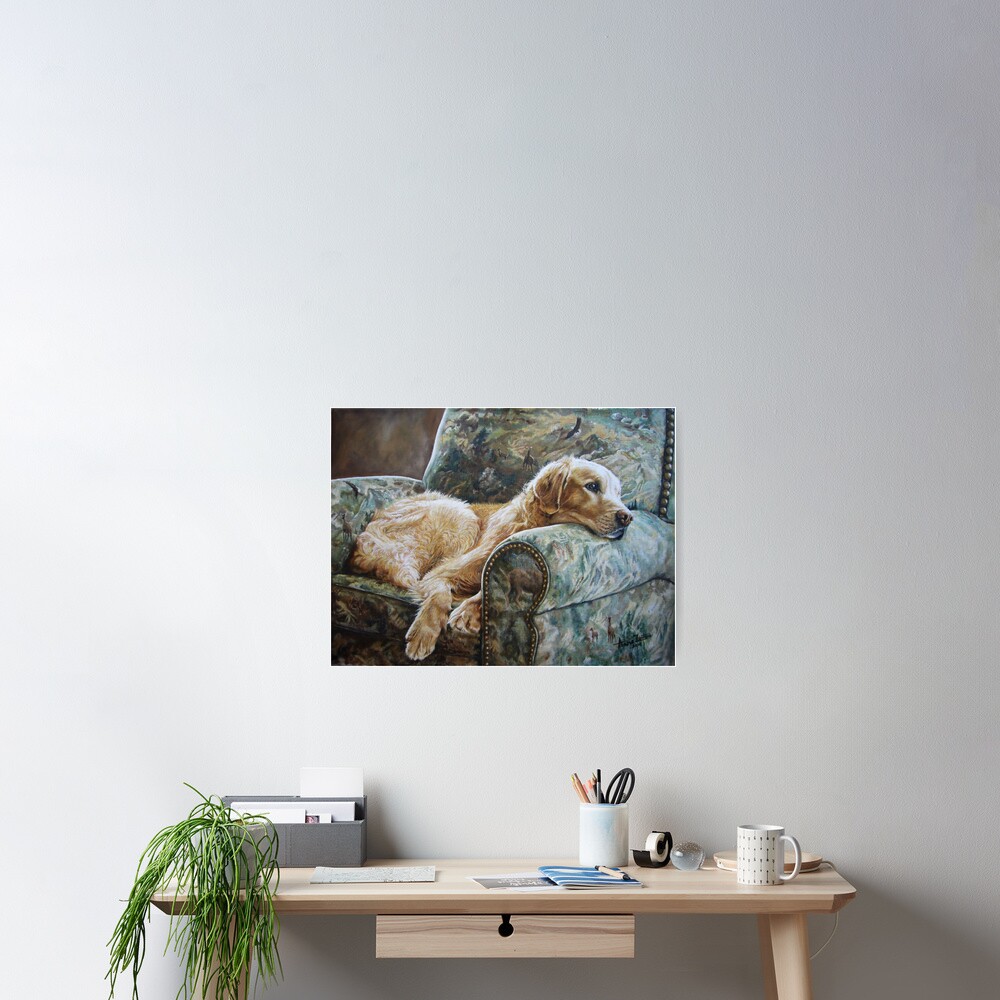 Golden Retriever in Chair Poster