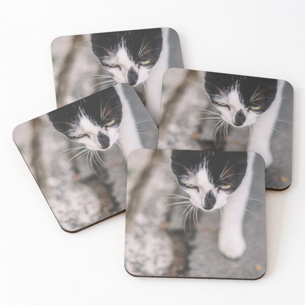 Item preview, Cat on the street designed and sold by GukjinKim.