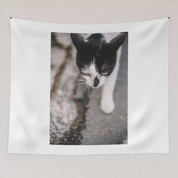 Item preview, Cat on the street designed and sold by GukjinKim.