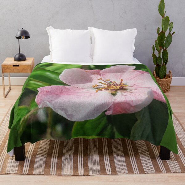 Item preview, Quince flower 2 photography print designed and sold by orangerinka.
