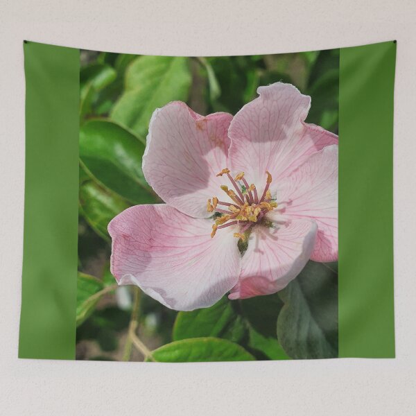Item preview, Quince flower 2 photography print designed and sold by orangerinka.