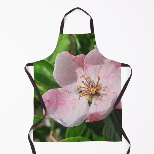 Item preview, Quince flower 2 photography print designed and sold by orangerinka.