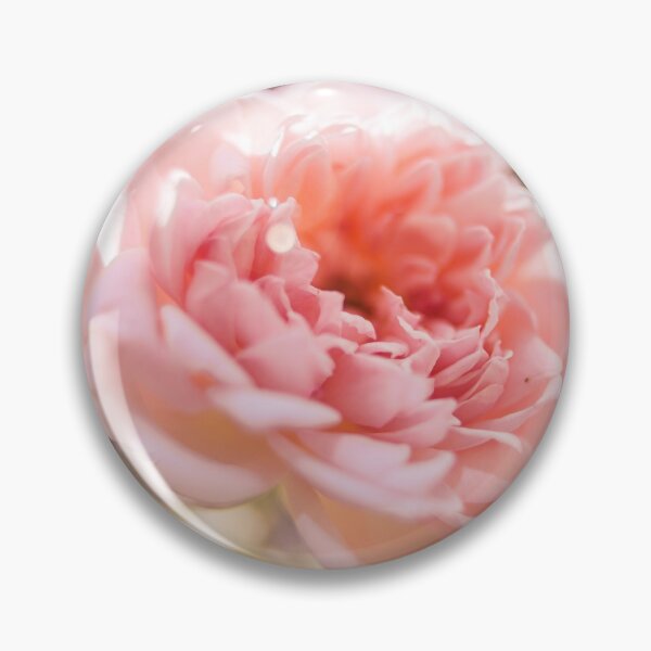 Item preview, Pink Rose designed and sold by GukjinKim.