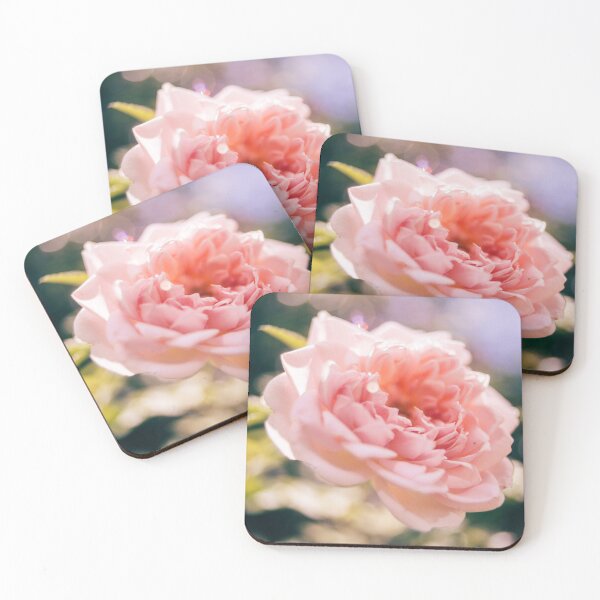 Item preview, Pink Rose designed and sold by GukjinKim.