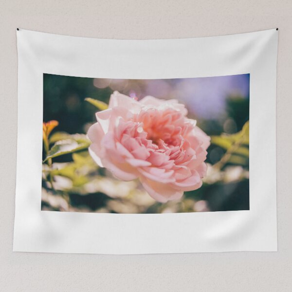 Item preview, Pink Rose designed and sold by GukjinKim.