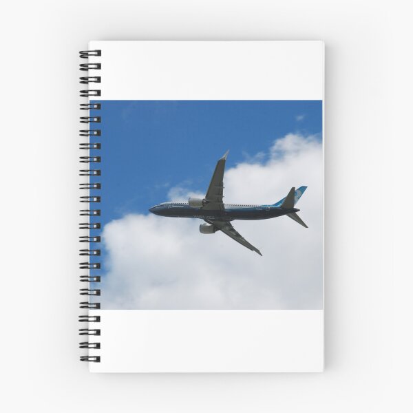 Item preview, Boeing 737 Max - Boeing 100 years designed and sold by RichardGibb.