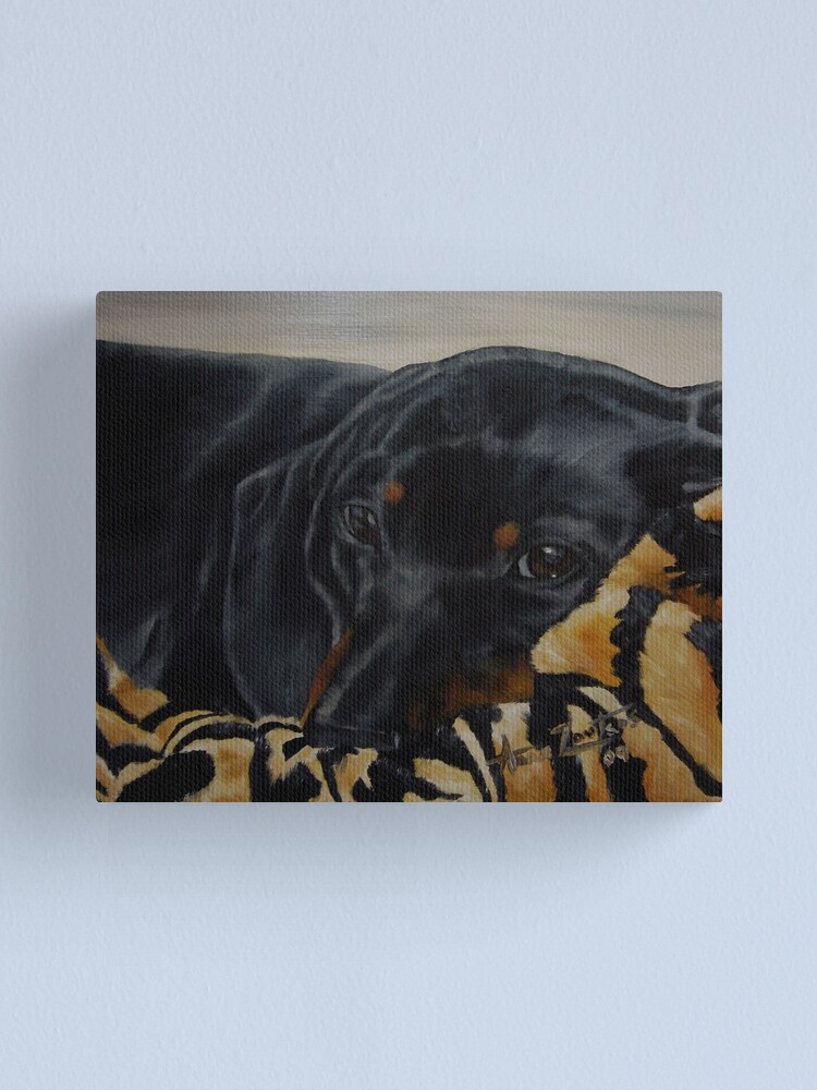 Alternate view of Contentment - cosy dachshund Canvas Print