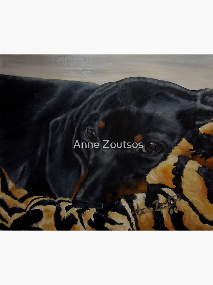 Contentment - cosy dachshund by AnneZ