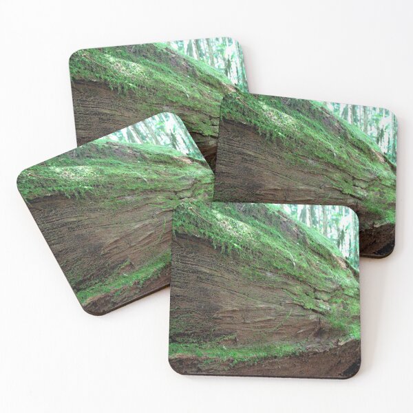 Item preview, Wild moss on dead tree designed and sold by NJH110.