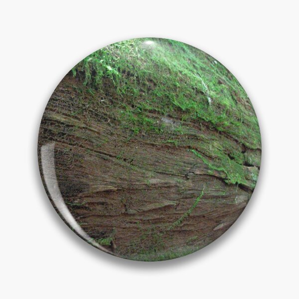 Item preview, Wild moss on dead tree designed and sold by NJH110.